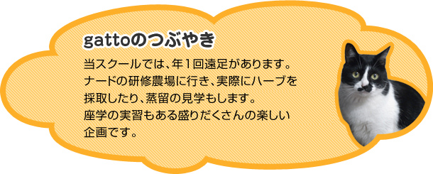 gattoのつぶやき
